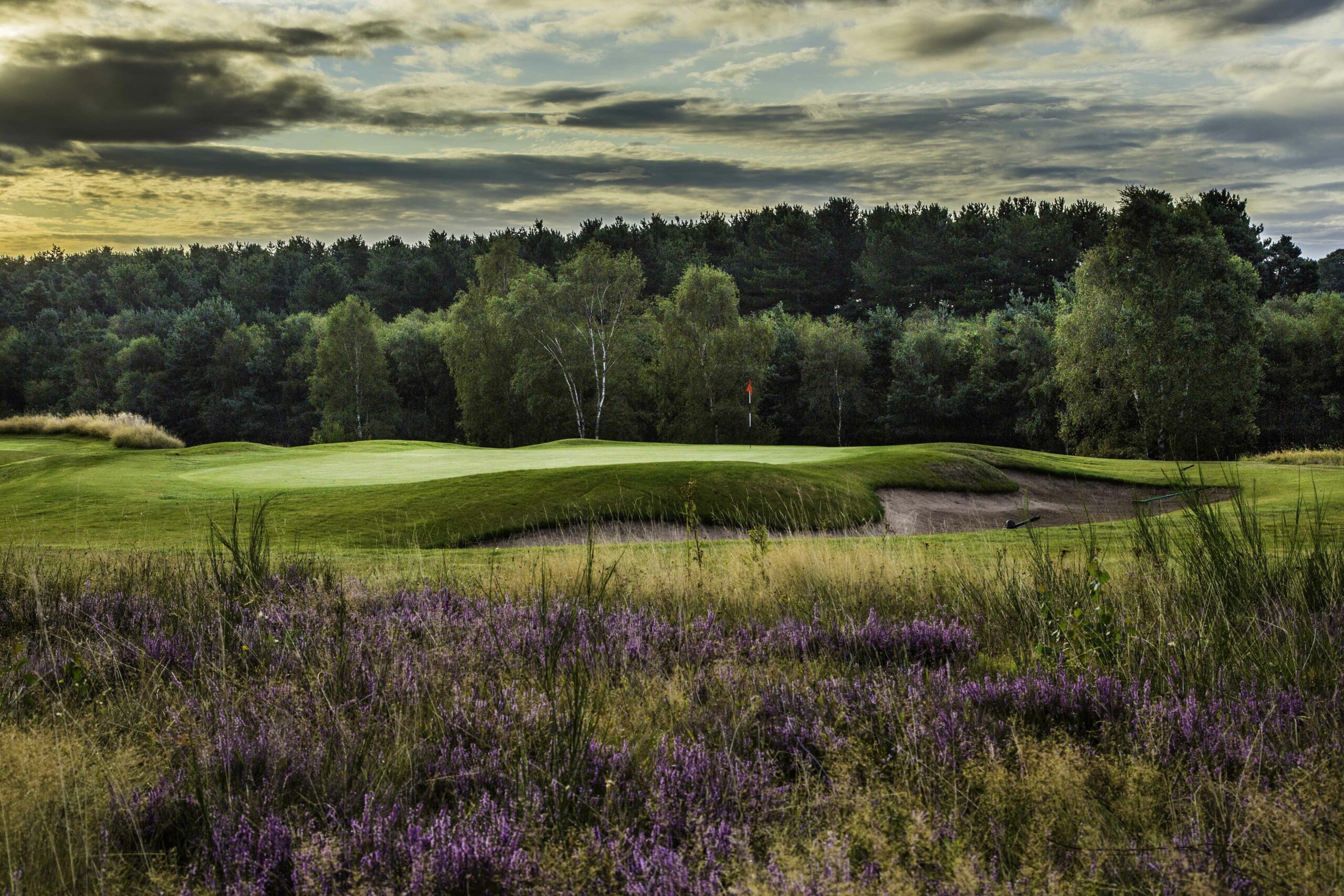 Nottingham Heathlands Sherwood Forest Golf Course