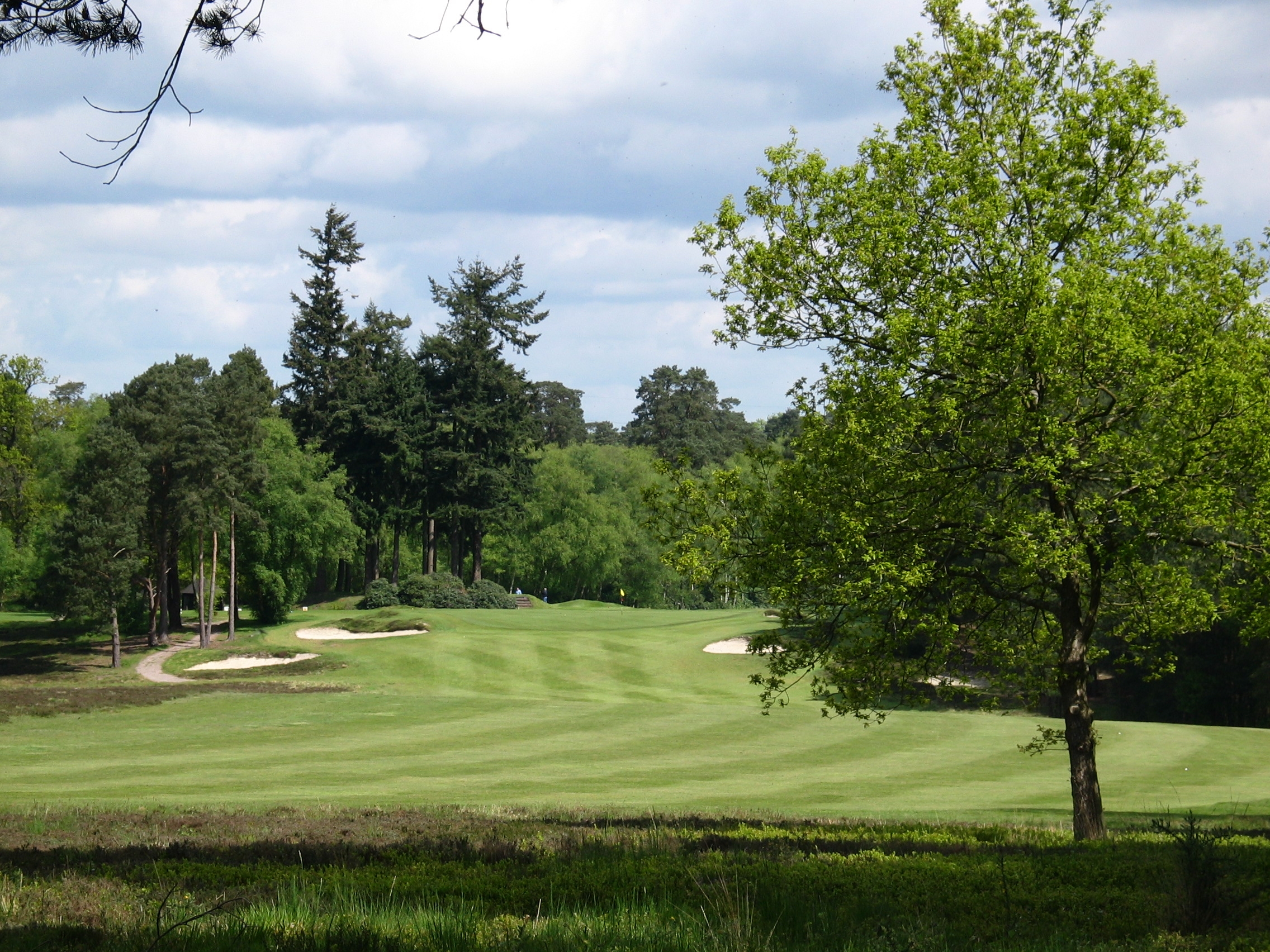 Hampshire Heathlands, Liphook Golf Club
