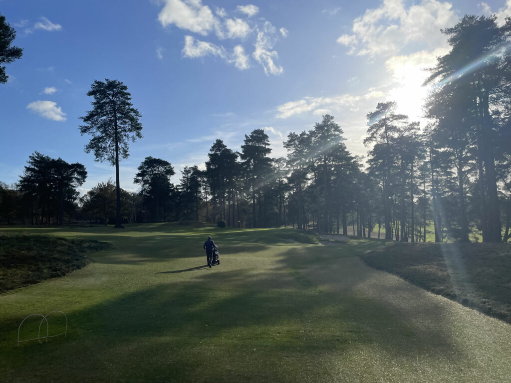 Liphook Golf Club - Enchanting Liphook