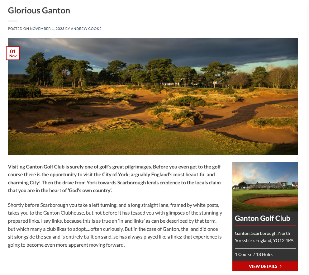 Blog Story Example